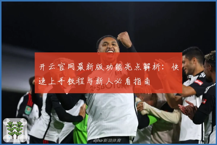 开云官网最新版功能亮点解析：快速上手教程与新人必看指南