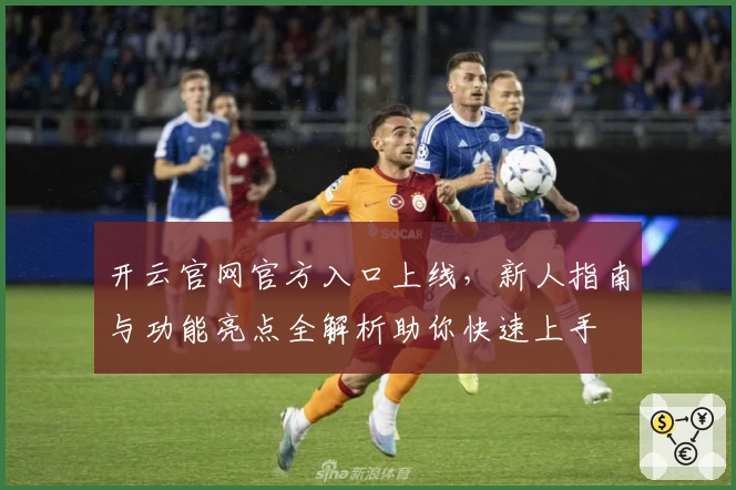 开云官网官方入口上线，新人指南与功能亮点全解析助你快速上手